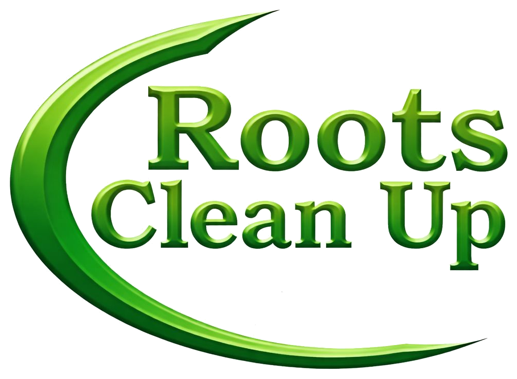 Roots Clean Up